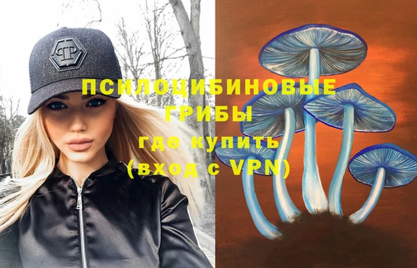 таблы Армянск