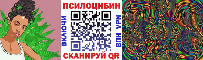 продажа наркотиков  Тырныауз  Псилоцибиновые грибы GOLDEN TEACHER 